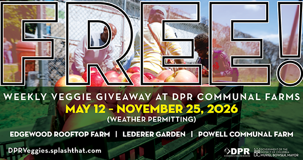 DPR VEGGIE GIVEAWAY - 3 LOCATIONS