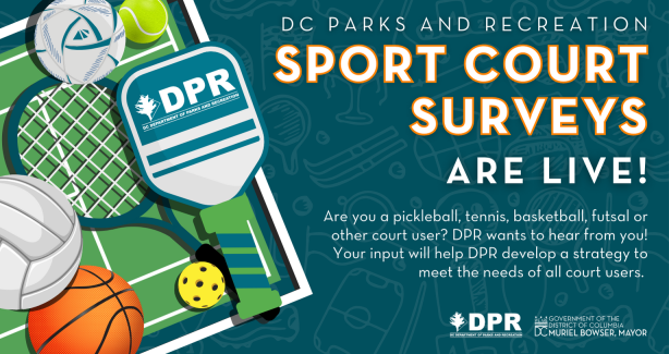 Flyer encouraging people to click the link and take DPR's court sport survey