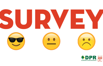 New DPR Survey 