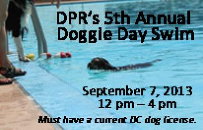 Doggy Day Swim 2013