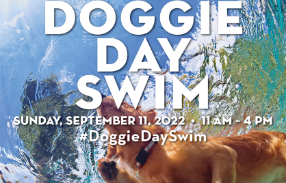 Dog swimming behind text that reads Doggie Day Swim