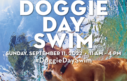 Doggie Day Swim Dog swimming behind text that reads Doggie Day Swim