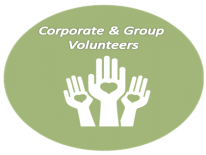 Organizational Volunteers Organizational Volunteers